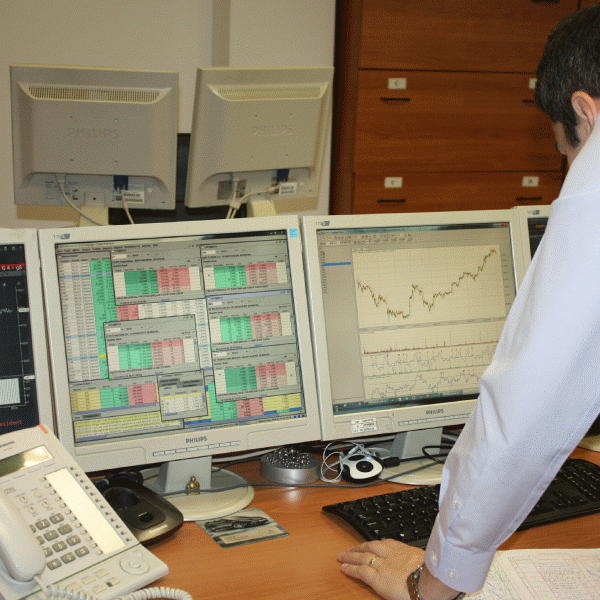 Brokerii independenţi, în majoritatea lor, merg în pierdere